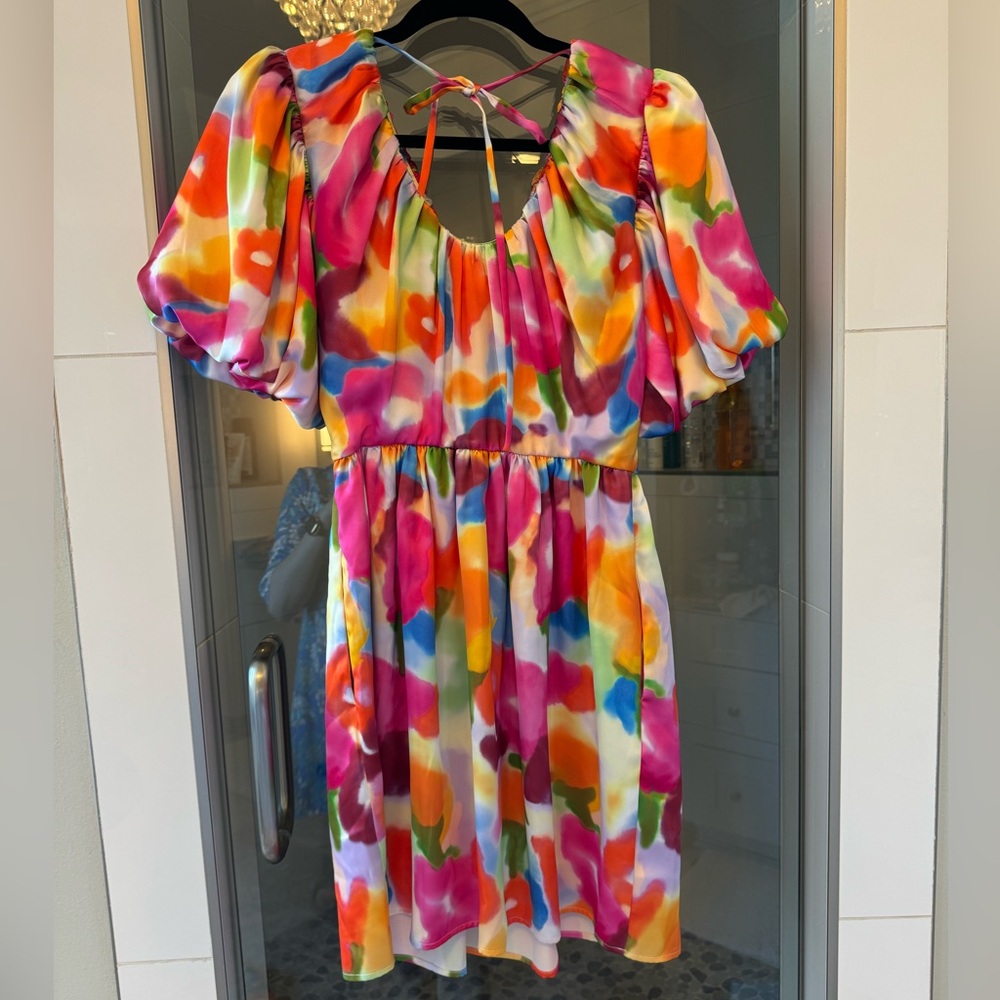 Crosby by Mollie Burch Rainey dress, XS, NWT - Picture 5 of 7